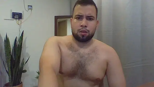 Dalton_sn Webbikameraesitys