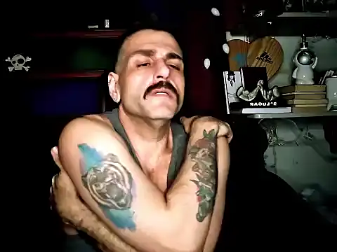 Chat +18 de BrunoAlphaBR ao vivo