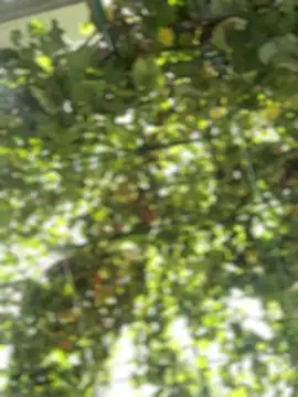 XXX chat uživo modela AnyElsaBb9801