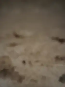 Col_fck – Naživo XXX chat