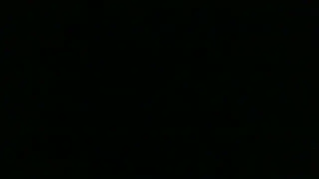 Show webcam de Chichoplus1