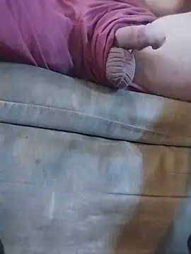 Show webcam de DARemo42O