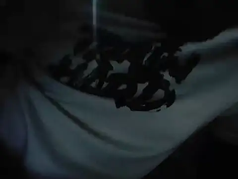 Tinku_1324n Webbikameraesitys