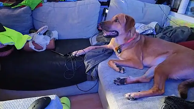 Živý XXX chat Cojote