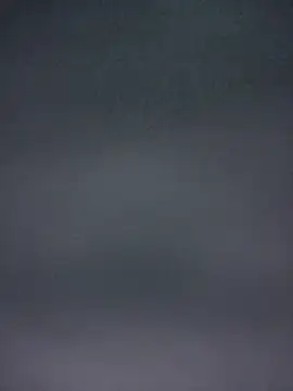 leegop webcam show