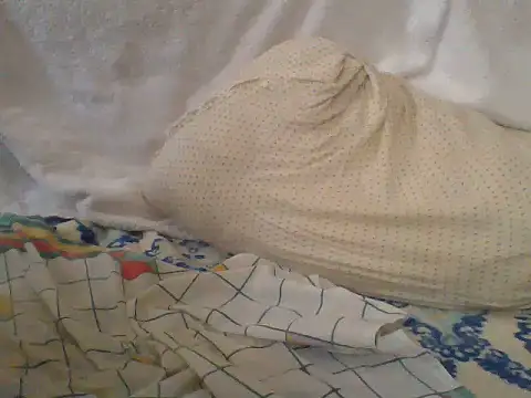 Show webcam de CohesiveCatching
