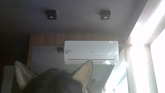 Show de webcam de SkinnyKitten