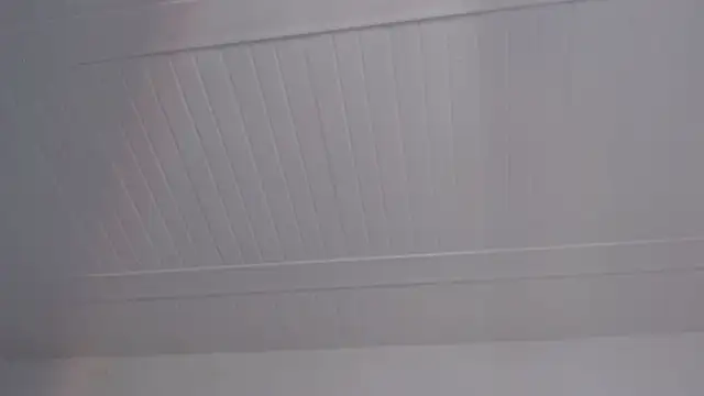 ElizabethMiler Live XXX-Chat
