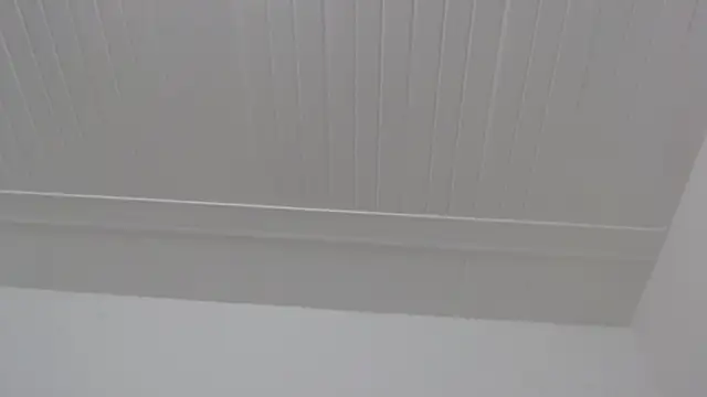 ElizabethMiler's Live XXX Chat