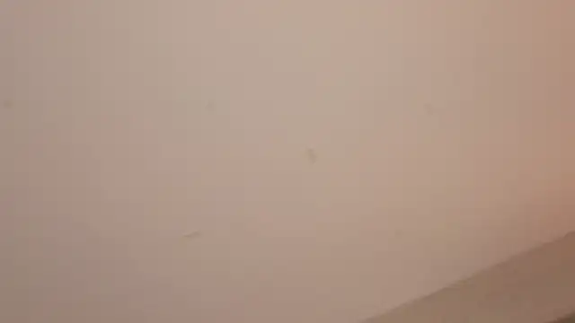 Chat +18 de Melina_Ferrer1 ao vivo