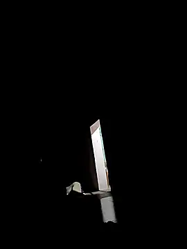 playboypunefrome Webcam show