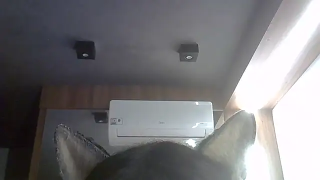 Chat +18 de SkinnyKitten ao vivo
