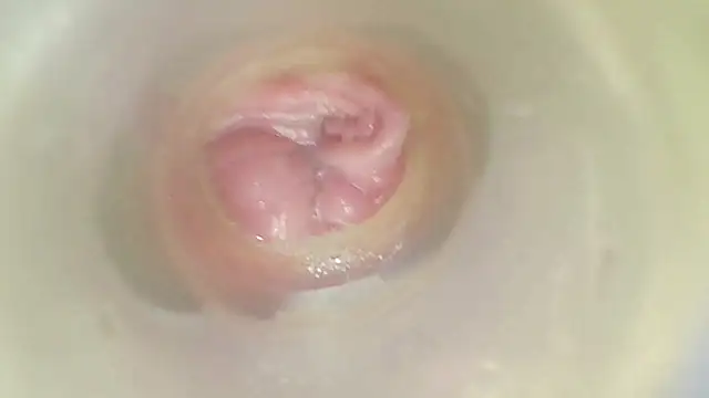 karol_stom's Live XXX Chat