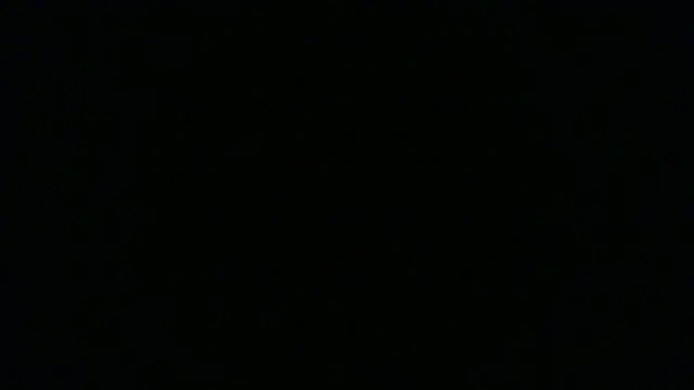 SamuelTal's Live XXX Chat