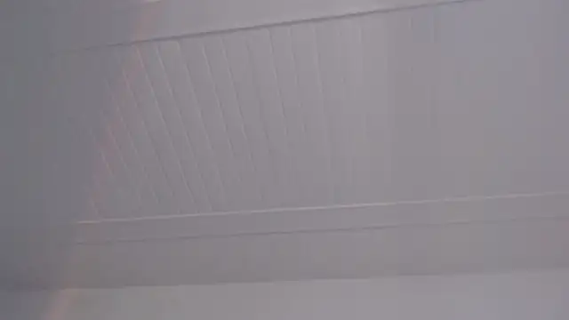 ElizabethMiler 라이브 XXX 채팅