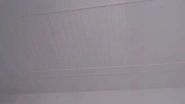 ElizabethMiler Live XXX Chat