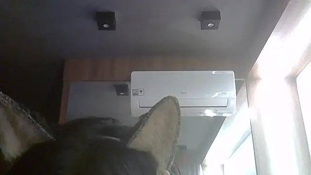SkinnyKitten Chat XXX live