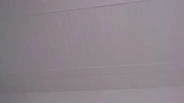 Živý XXX chat ElizabethMiler
