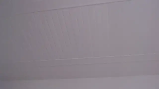 ElizabethMiler Live XXX-chat
