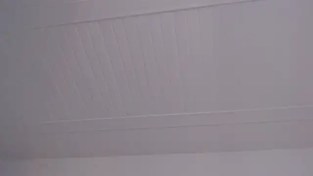 ElizabethMiler XXX чат на живо