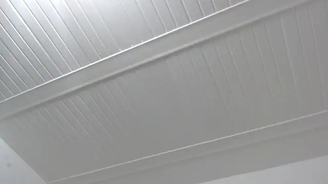 ElizabethMiler's Live XXX Chat