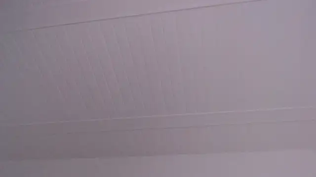 ElizabethMiler Live XXX Chat
