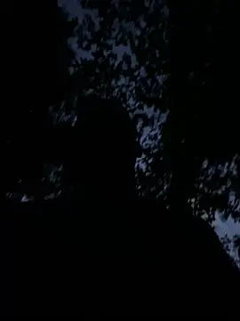 dantedesirexxのウェブカメラショー