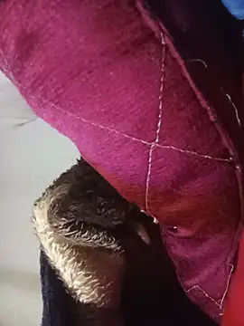 Sexxoophone Show Webcam