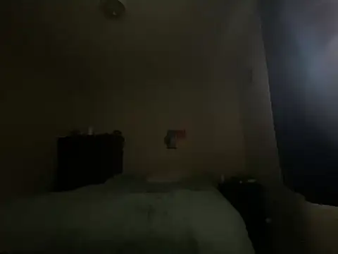 vivillain Webcam show