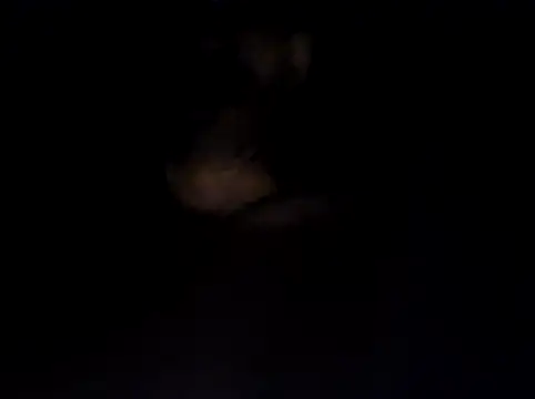 hun34man Webcam Show