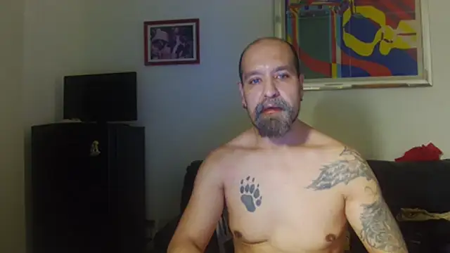 AMIRDIB2025 Chat XXX live
