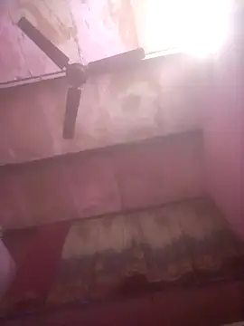 TINASONI 라이브 XXX 채팅