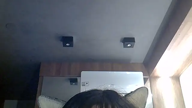 Show de webcam de SkinnyKitten