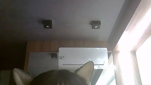 SkinnyKittenn Live XXX chat