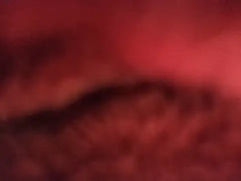 הופעת וובקאם של tatingordin