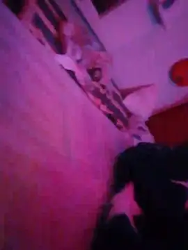 Webkamerová show Elyer_her20