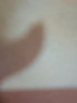 _MissPompitas23_ 라이브 XXX 채팅