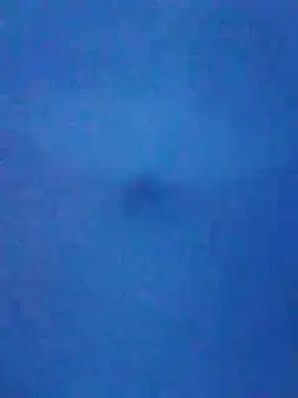 tarra122 现场XXX聊天