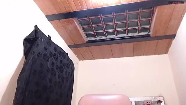 Živý XXX chat toxxxic_cams