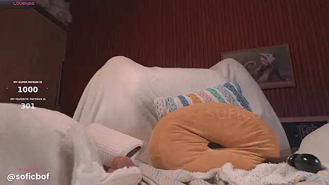 צ'אט XXX בשידור חי של sofi_sc