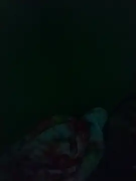 Chat XXX ao vivo de safadinho201