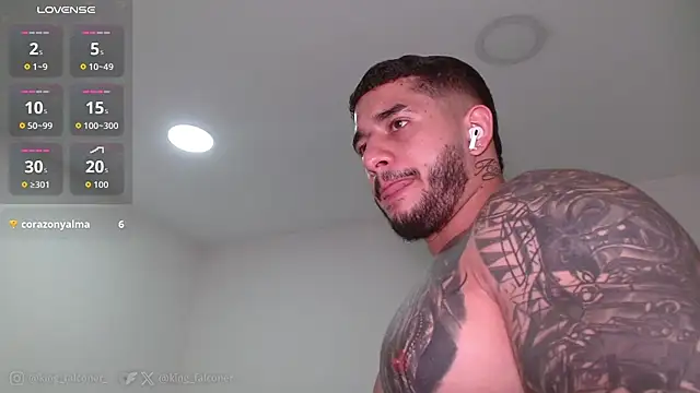 king_falconer Chat XXX in diretta