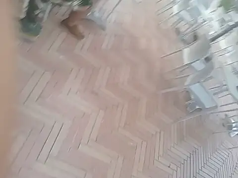 svvagesexyy: διαδικτυακό σόου στην κάμερα