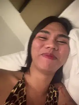 Hotkleas Pertunjukan Webcam