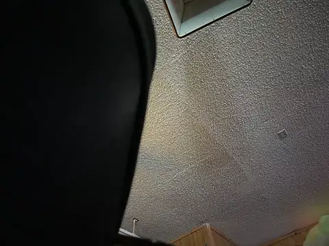 THE-CHAMPLOVENIPPLES73's Webcam Show