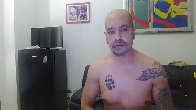Chat +18 de AMIRDIB2025 ao vivo