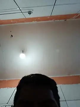 Lbk23 Webcam-Show