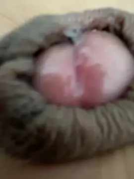 sharry322 – Naživo XXX chat