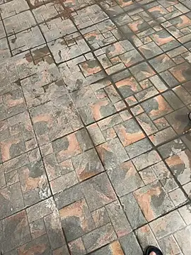 Rafal555578のウェブカメラショー