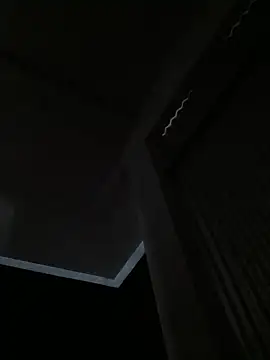 Show webcam de punithapundai6